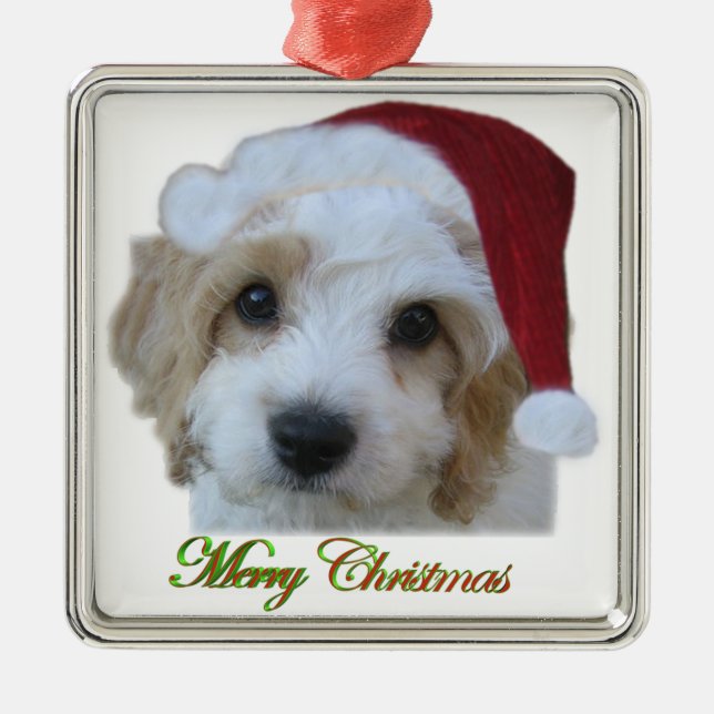 Ornamento enmarcado caza de Santa (Frente)