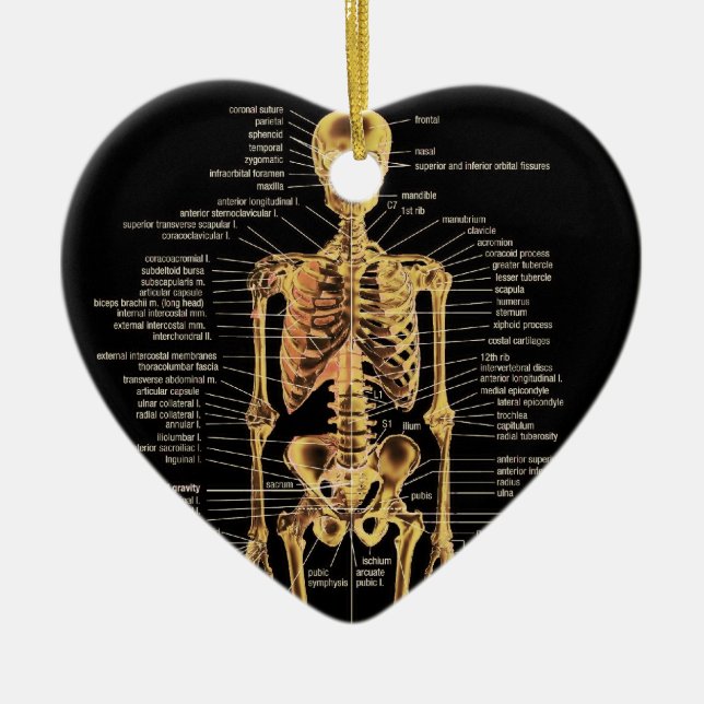 Ornamento esquelético (Frente)