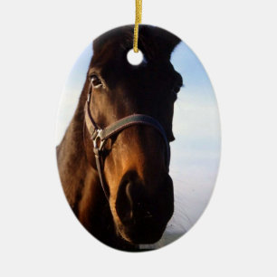 Ornamento excelente dulce del caballo