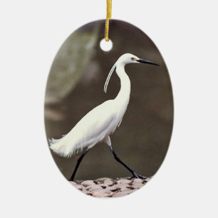 Ornamento feriado de Egret