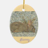 Ornamento fotográfico Bunny
