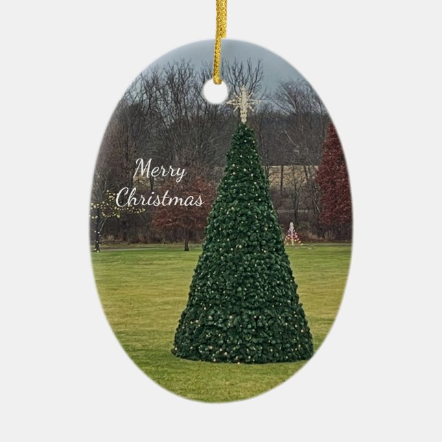 Ornamento fotográfico de árbol de Navidad (Frente)