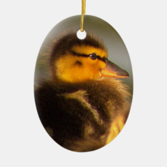 Ornamento fotográfico de duckling (Frente)