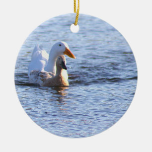 Ornamento fotográfico de Ducks