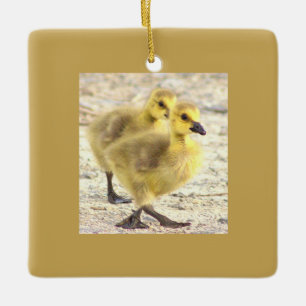 Ornamento fotográfico de Goslings