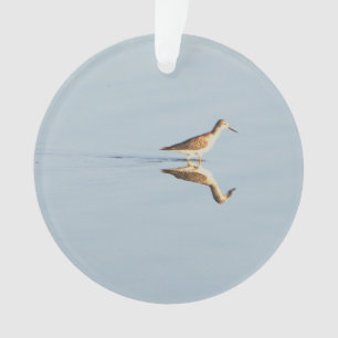 Ornamento fotográfico de reflexión de aves marinas