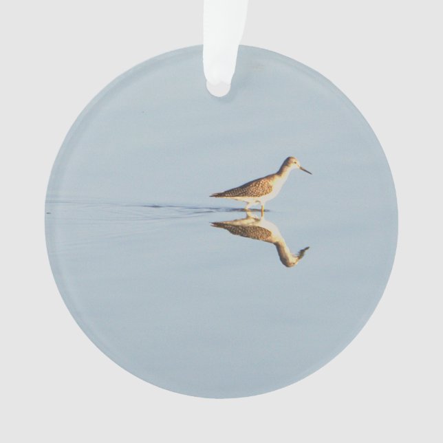 Ornamento fotográfico de reflexión de aves marinas (Anverso)