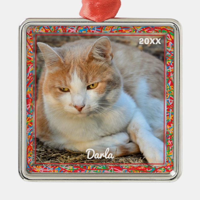 Ornamento fotográfico - HAMbyWG (Frente)