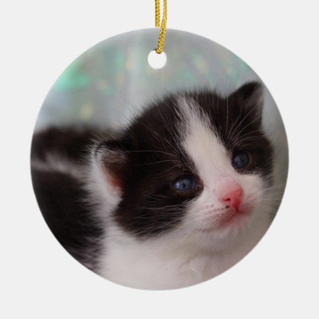 Ornamento gatito (Frente)