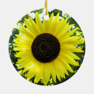 Ornamento girasol suní