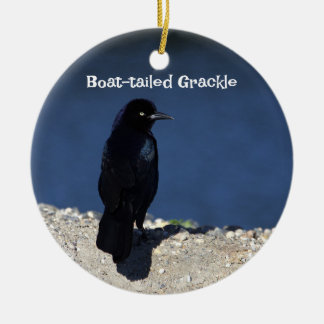 Ornamento Grackle