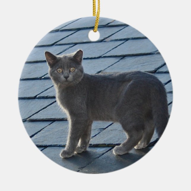 Ornamento gris del gatito (Frente)