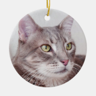 Ornamento gris del gato de tabby