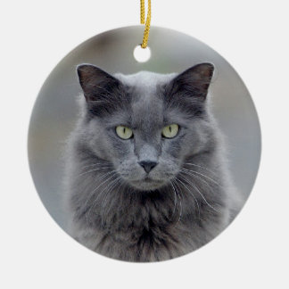 Ornamento gris del navidad del gato