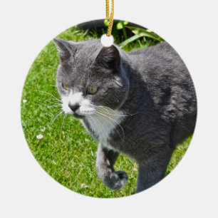 Ornamento gris y blanco del gato