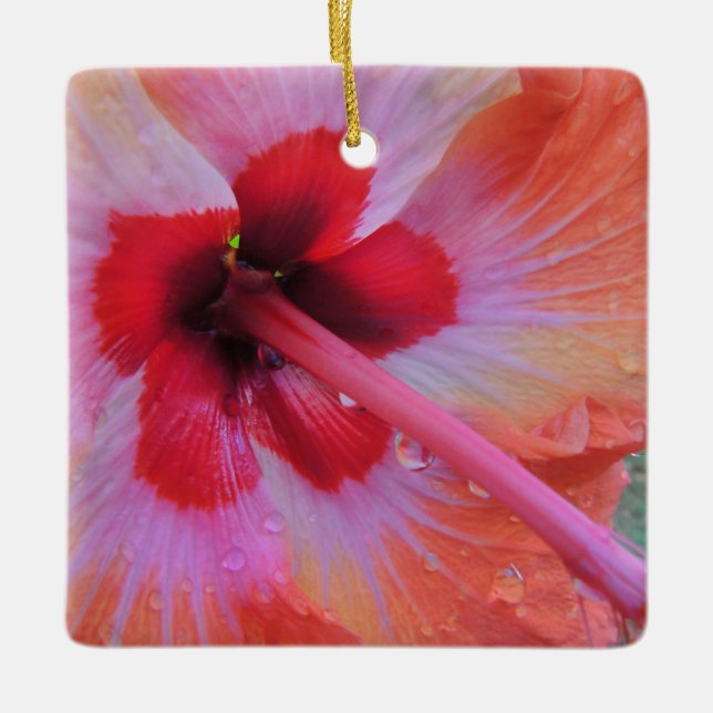 Ornamento hawaiano hibiscus (Anverso)