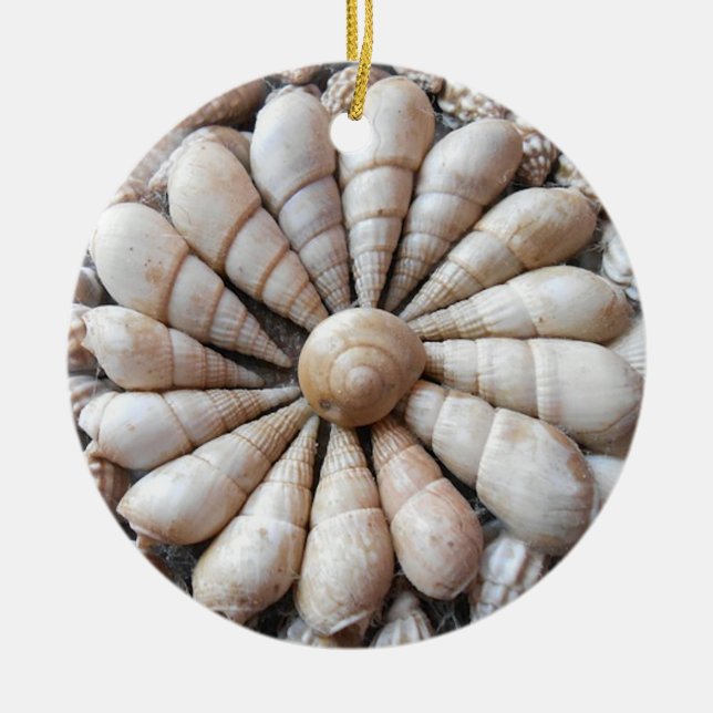 Ornamento hermoso de la circular del Seashell (Frente)