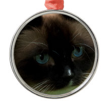 Ornamento hermoso del gato de Ragdoll