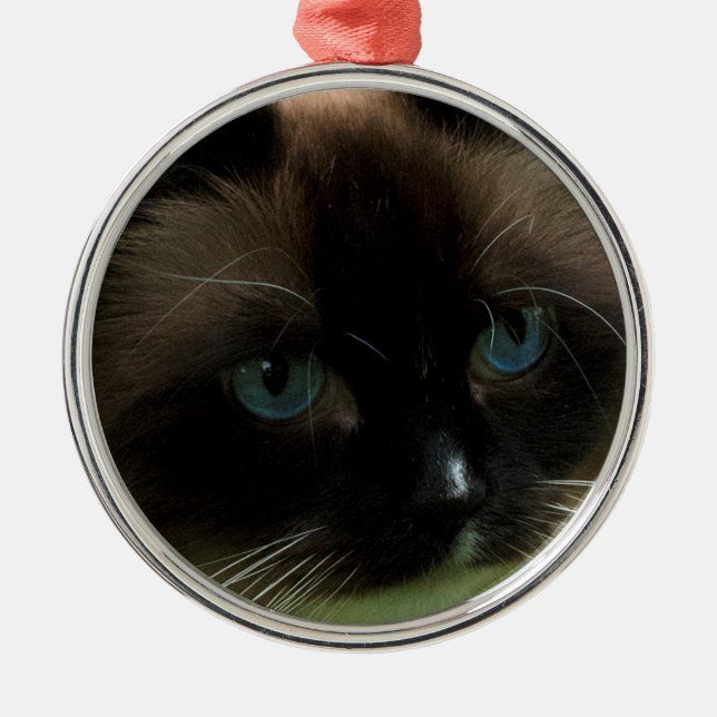 Ornamento hermoso del gato de Ragdoll (Frente)