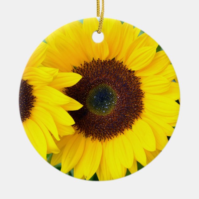 Ornamento hermoso del navidad del girasol (Frente)