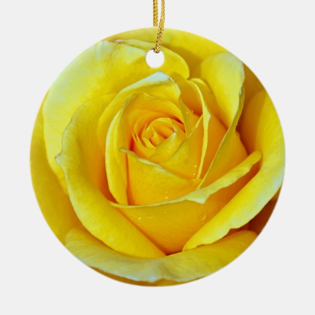 Ornamento hermoso del navidad del rosa amarillo (Frente)