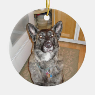 Ornamento hermoso del perro
