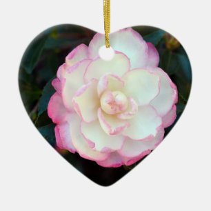 Ornamento inclinado rosa Camellia-053