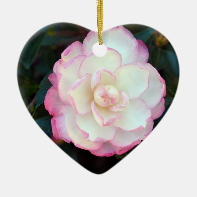 Ornamento inclinado rosa Camellia-053 (Frente)
