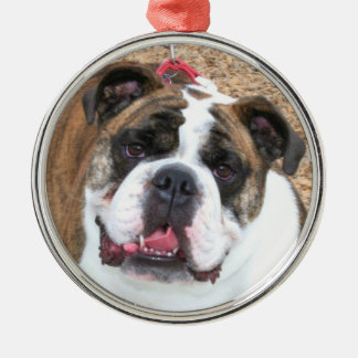 Ornamento inglés del bulldog