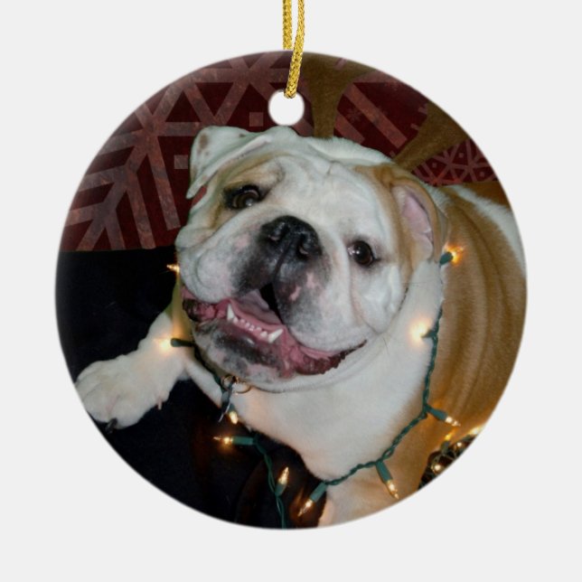 Ornamento inglés del navidad del bulldog (Frente)