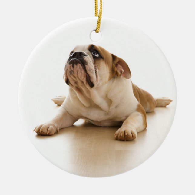 Ornamento inglés del navidad del bulldog (Frente)