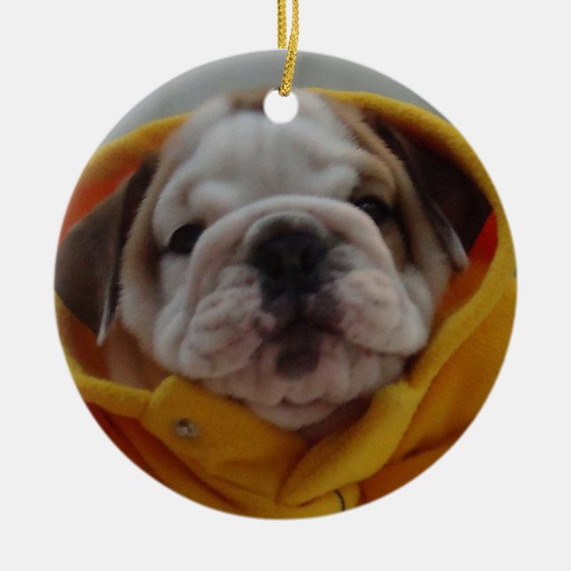 Ornamento inglés del perrito del bulldog (Frente)