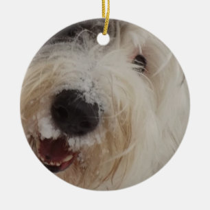 Ornamento inglés viejo del perro pastor - cara de