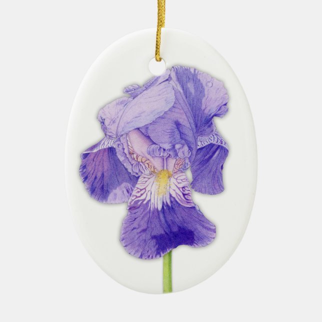Ornamento iris púrpura (Frente)