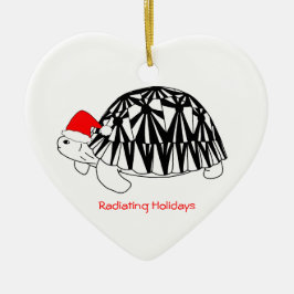 Ornamento irradiado de la tortuga