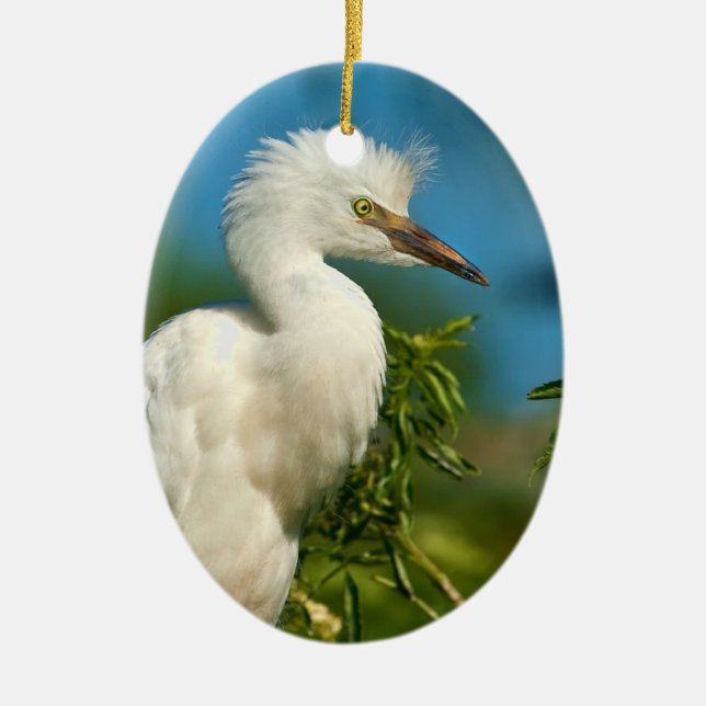 Ornamento joven del Egret nevado (Frente)