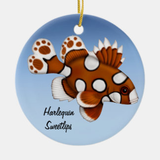 Ornamento juvenil Harlequin Sweetlips Reef Fish