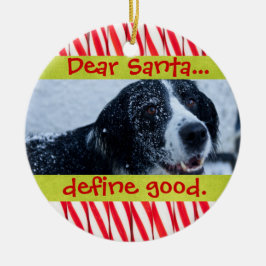 Ornamento lindo de la foto del navidad del mascota