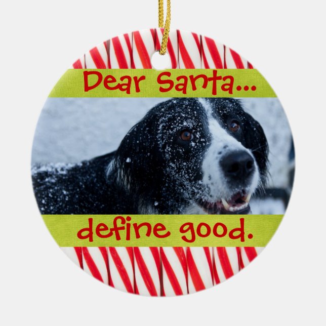 Ornamento lindo de la foto del navidad del mascota (Frente)