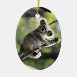 Ornamento lindo de la koala