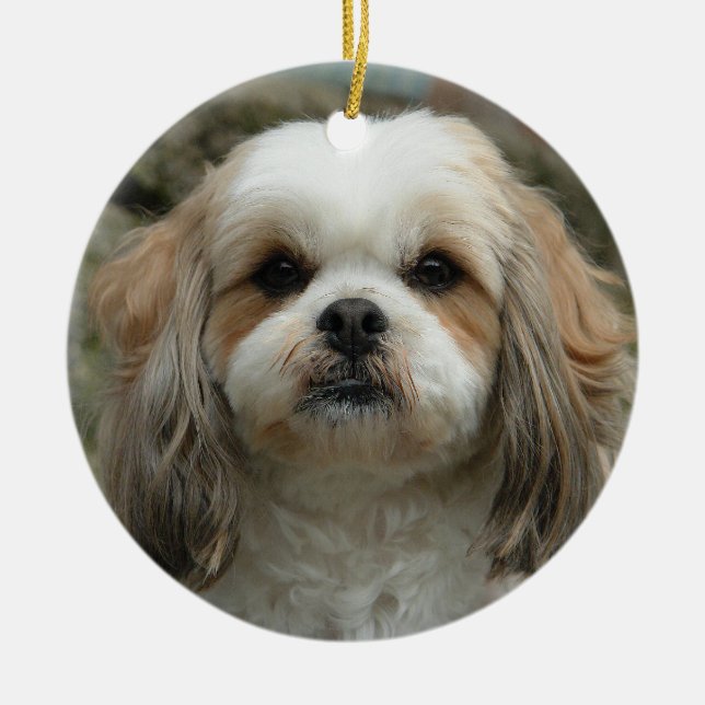 Ornamento lindo del navidad de Shih Tzu (Frente)