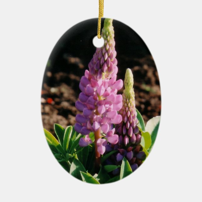 Ornamento Lupin (Frente)