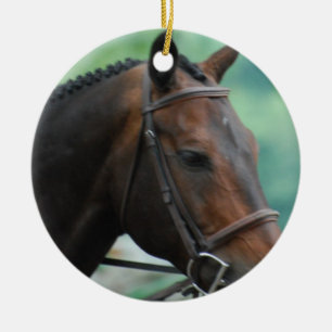 Ornamento magnífico del caballo de Warmblood
