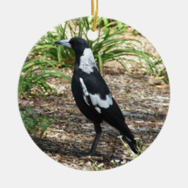 Ornamento magpie australiano