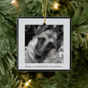 Ornamento Mascota perdido personalizado con tus fo