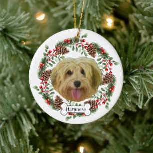 ornamento Mascota personalizado de havanese