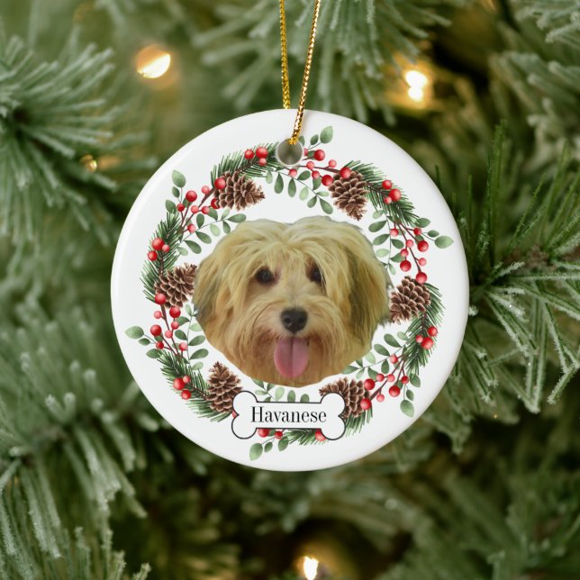 ornamento Mascota personalizado de havanese (Árbol)