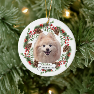 Ornamento Mascota personalizado de perro de Pomera
