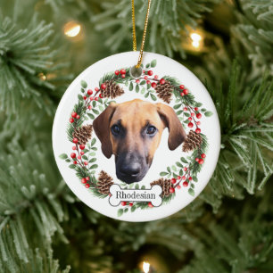 Ornamento Mascota personalizado Rhodesian Ridgebac