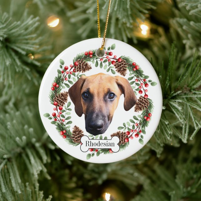 Ornamento Mascota personalizado Rhodesian Ridgebac (Árbol)